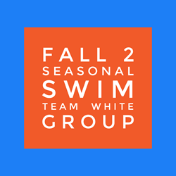 Fall II Seasonal Swim Team - White Group  